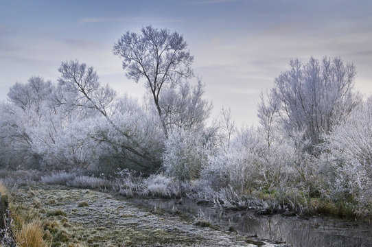 Cotswold Water Park In Winter; Thames Head, England
