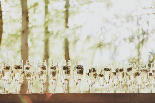 Glasses of champagne in a row;Pemberton british columbia canada