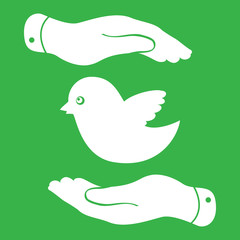 flat hands showing bird icon - vector illustration