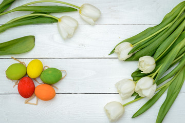 Color eggs and tulips