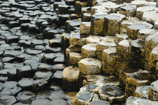 Wet stone steps at various levels covered in lichen;Ireland
