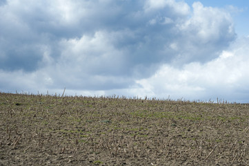 Dry barren agricultural field