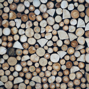 High angle view of the cut ends of logs;Zermatt valais switzerland