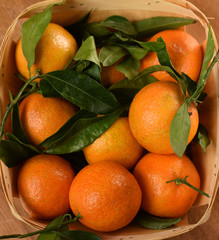 ripe tangerines with leaves in basket