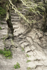 Old stone steps on a hillside