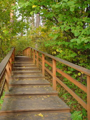 Fototapeta premium Autumn stairs