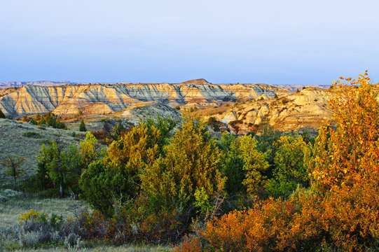 Juniper and canyons, Little Missouri Grasslands; North Dakota, United States of America
