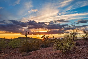 Papier Peint photo Sécheresse Coucher de soleil sur le désert de l& 39 Arizona
