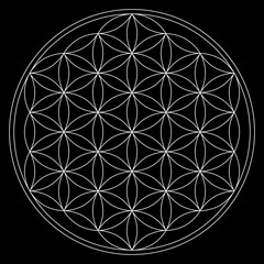 Flower of Life (version 1)