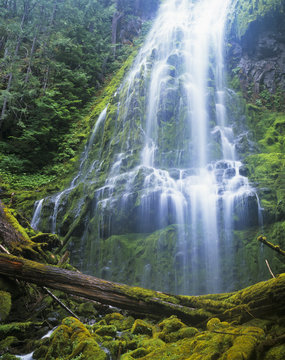 Proxy Falls plummets down the bluffs; Sisters, Oregon, United States of America
