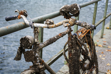 Old discarded bicycle leaning against a railing at the water, full of rust, small clams and barnacles