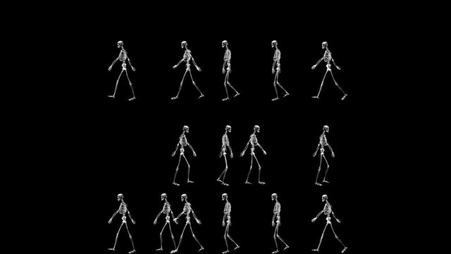 Group of Skeletons Walking in Both Sides on a Black Background