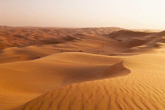 Landscape with Sand Dune, Liwa Oasis, Abu Dhabi, UAE