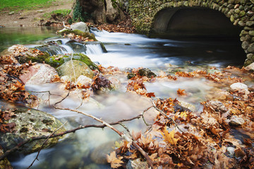 River flowing under stone bridge with floating autumn coloured leaves; Naoussa, Greece