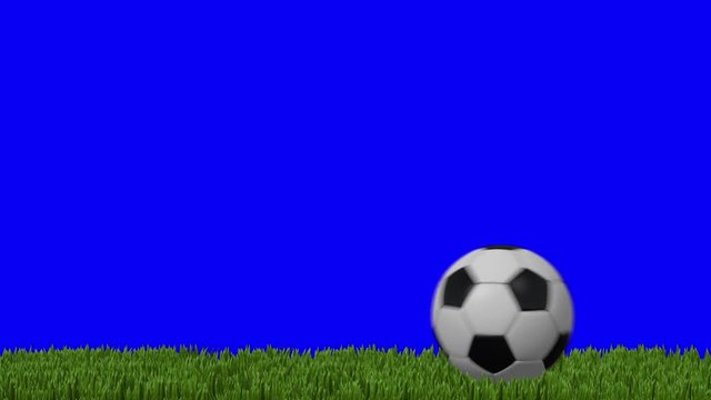 Two Designs of Soccer Balls Rolling on the Grass and Crossing the Screen on a Blue Screen Background