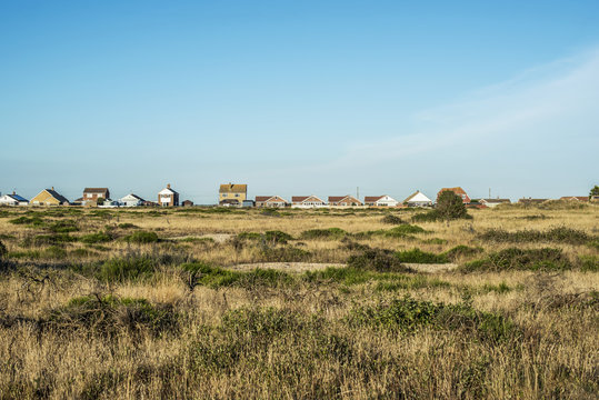 Houses in the distance viewed over a grass field; Dungeness, Kent, England