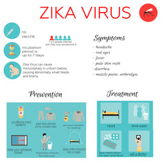 Zika virus infographic: prevention, symptoms and treatment