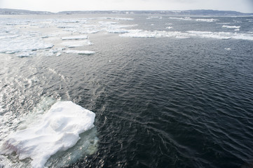 Ocean Icebergs
