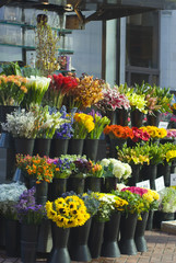 Colourful flower stall