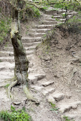 Stone steps on a rural footpath