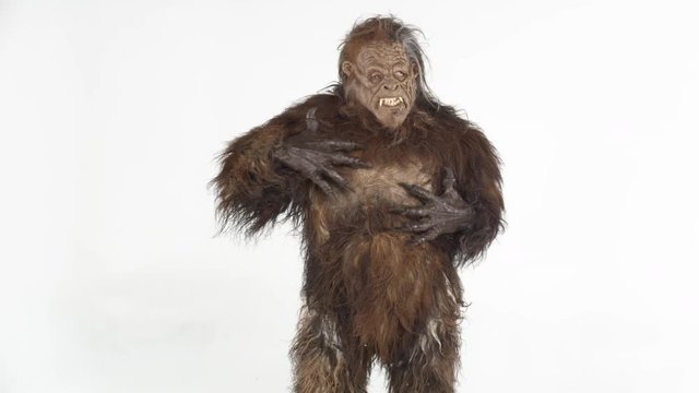 Bigfoot Dancing from Side to Side