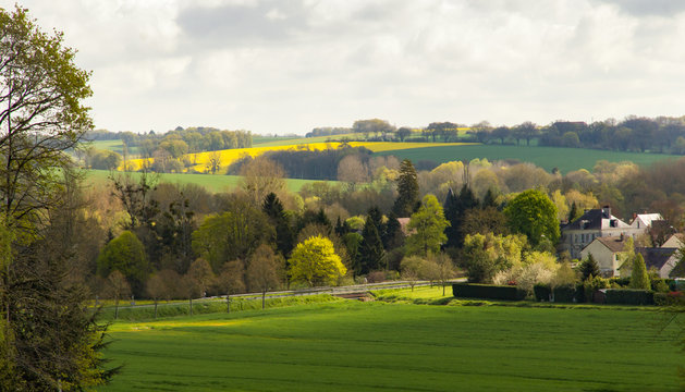 Peaceful Morning In The French Countryside