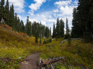 On Top Of The First Hill