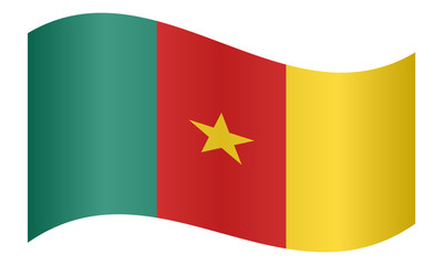 Flag of Cameroon waving on white background