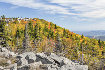 Fototapeta premium Autumn on the Allegheny Front at Bear Rocks, Dolly Sods Wilderness, West Virginia