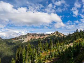 Fototapeta premium Mount Rainier National Park Ridge