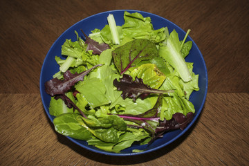 Image of Fresh Tossed Salad
