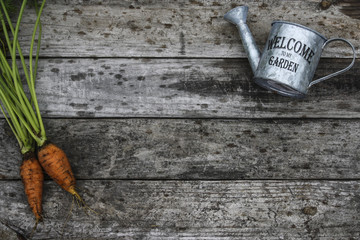 Image of Garden Harvest Background
