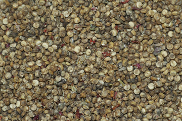 Image of Quinoa Seeds
