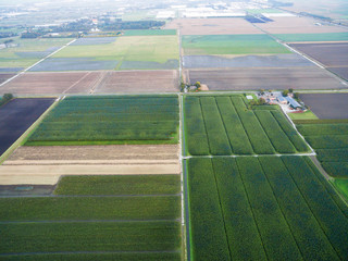 aerial view of green geometric agricultural fields  in Netherlands