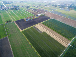 aerial view of green geometric agricultural fields  in Netherlands