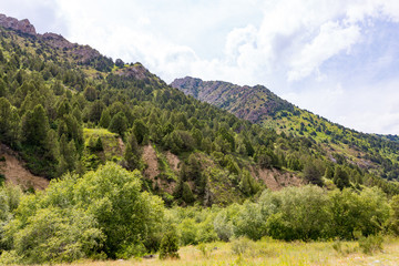 beautiful nature in the mountains of Kazakhstan