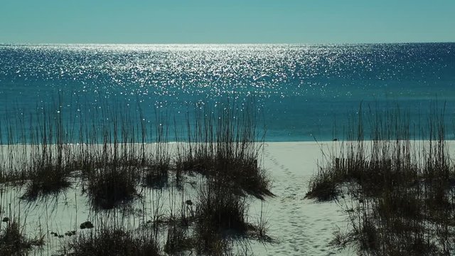 Beautiful beach, beauty establishing shot, wide empty beach with dunes, Sunny day.