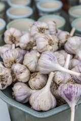 Bulbs of garlic on display.