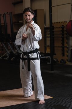 Portrait of man practicing karate
