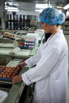 Female staff putting egg carton on conveyor