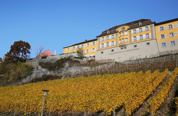 vineyard of Meersburg at Lake Constance during autumn, Germany