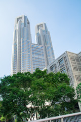 Fototapeta premium 都庁