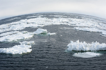 iceberg drift ice © photoeverywhere