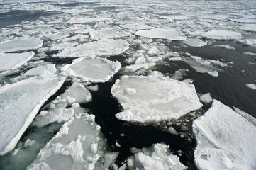 sea ice