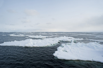 drifting ice © photoeverywhere