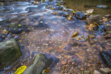 Background Picture of water flows through rocky path of a stream