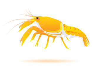 lobster vector design