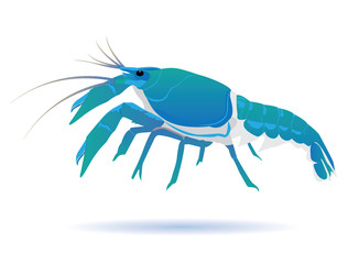 lobster vector design