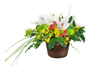 Bouquet from orchids in dark vase isolated on white background. Closeup.