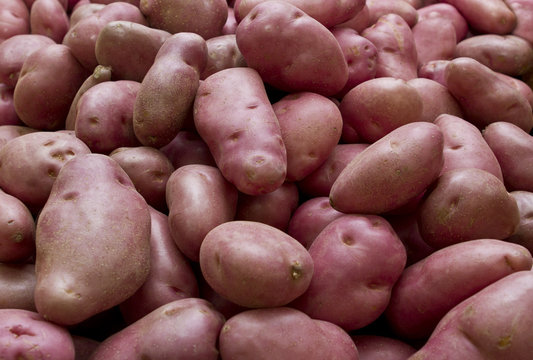 Piles of desiree potato